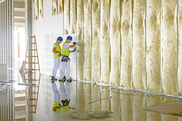 Best Insulation for Specific Applications in Dawson Springs, KY